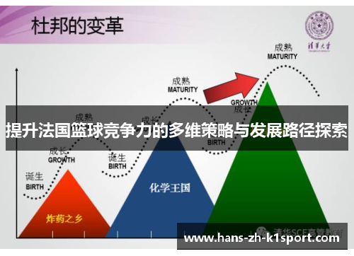 提升法国篮球竞争力的多维策略与发展路径探索 提升法国篮球竞争力的多维策略与发展路径探索