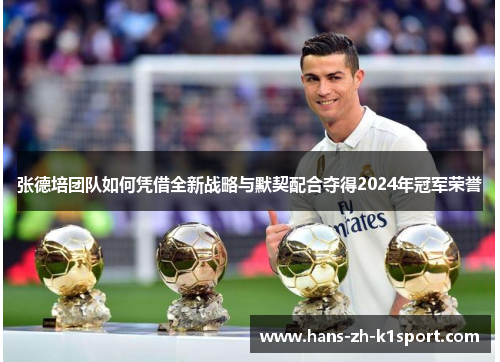 张德培团队如何凭借全新战略与默契配合夺得2024年冠军荣誉 张德培团队如何凭借全新战略与默契配合夺得2024年冠军荣誉