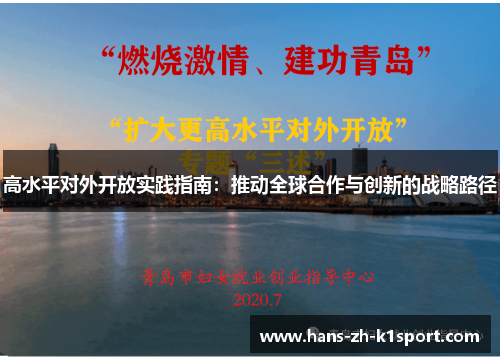 高水平对外开放实践指南：推动全球合作与创新的战略路径