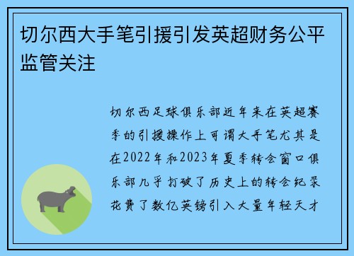 切尔西大手笔引援引发英超财务公平监管关注 切尔西大手笔引援引发英超财务公平监管关注